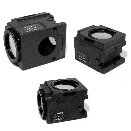 91001 Nikon Eclipse/Quadfluor